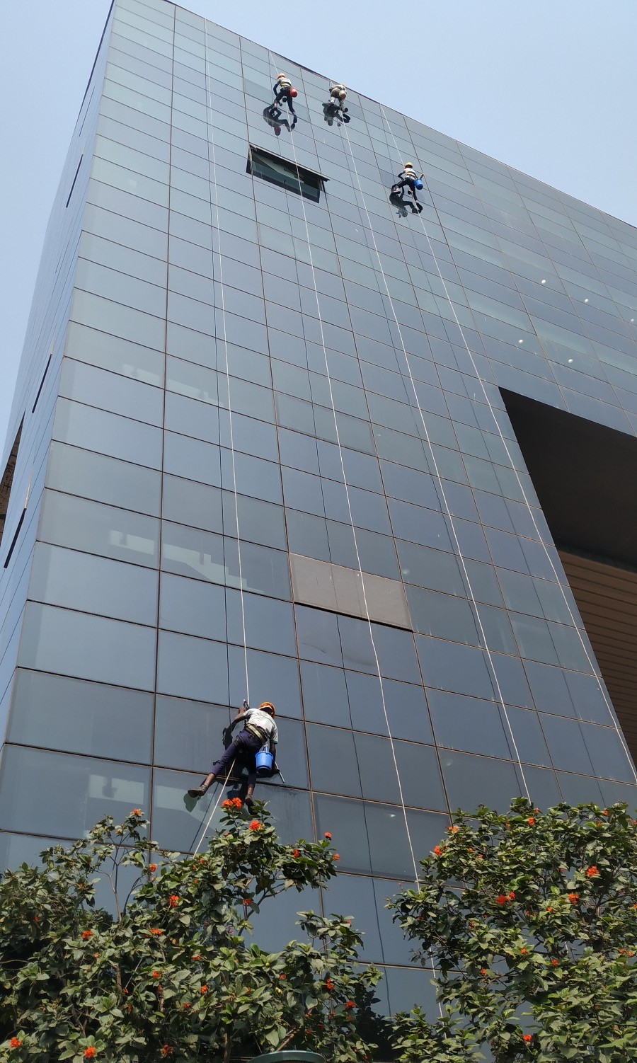 Facade Glass Cleaning